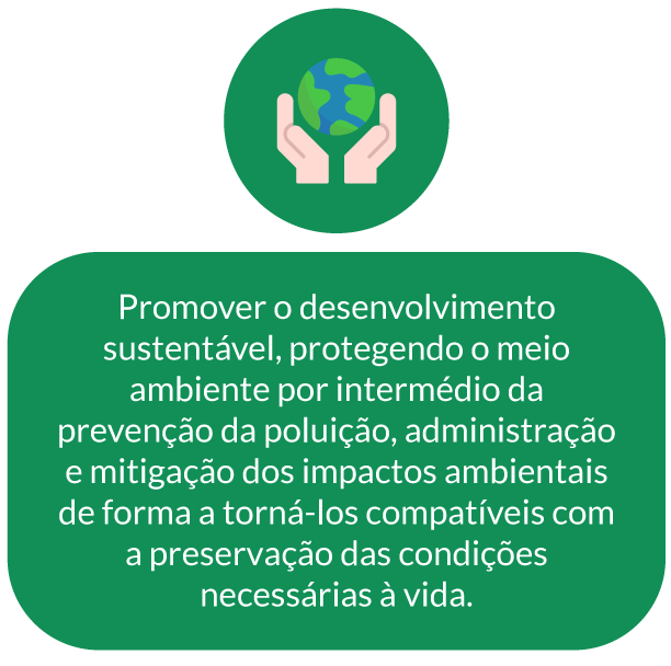 Desempenho ambiental — Relatório Anual 2019 - Brasil Agro